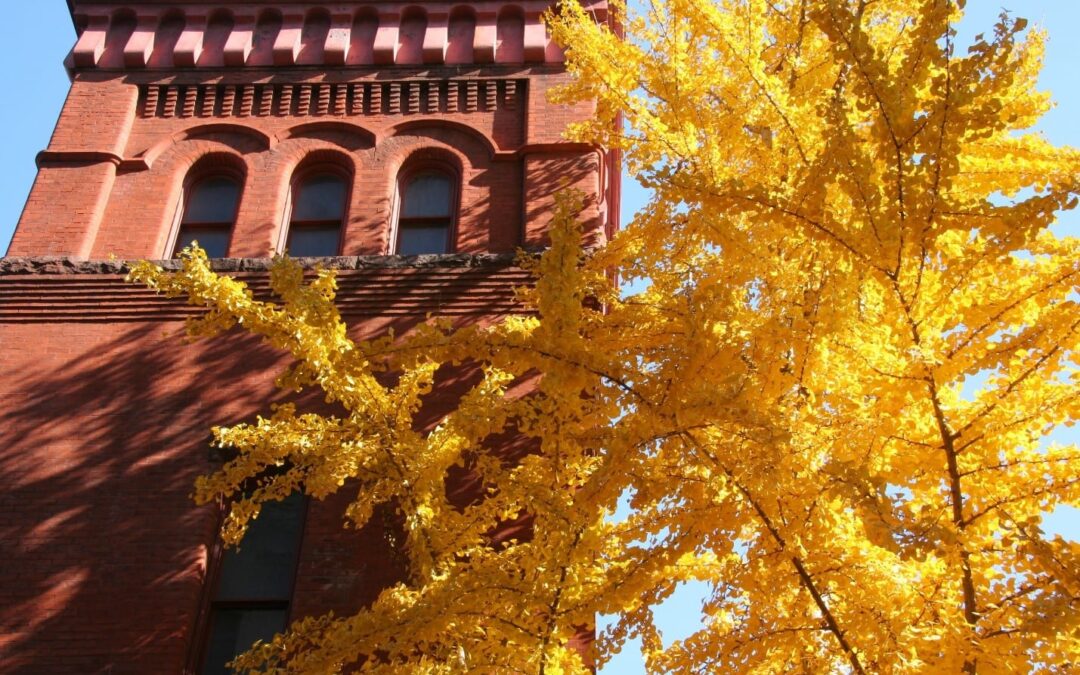 Top 8 Things that Make Lancaster PA Unique