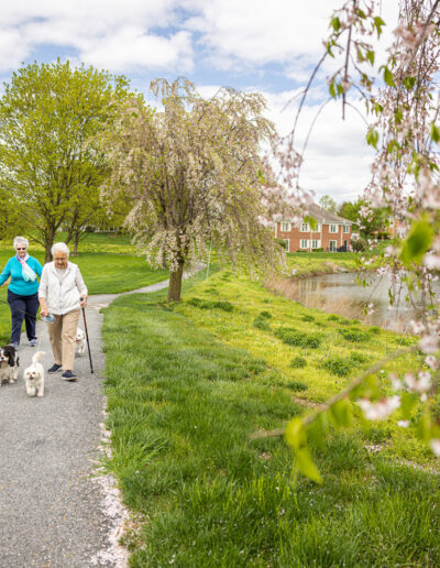 Three women walk small dogs around a pond.