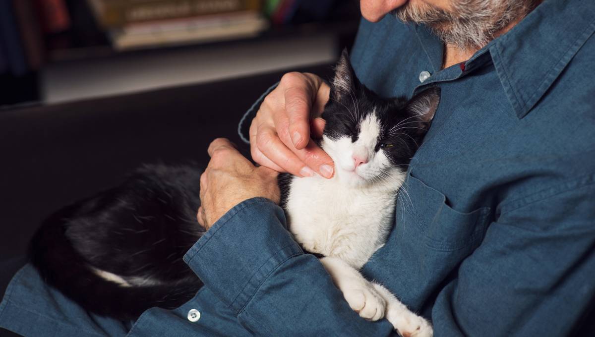 Retiree with his cat at his pet friendly retirement home